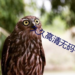 久久高(高)清无(無)码毛(毛)片(片)