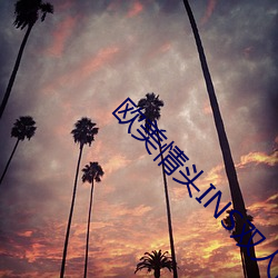 欧美情头INS双人高清