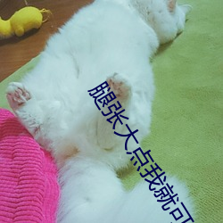 ŴҾͿԳȱ ŴҾͿԳȱʲô