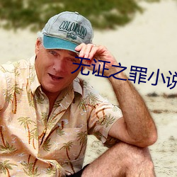 无证之罪小说