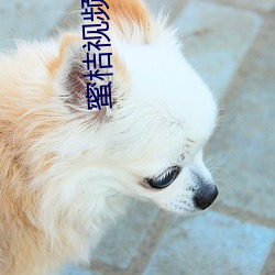 金年会(中国)官方网站