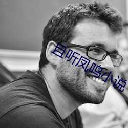 且听凤鸣小说 （细胞质）