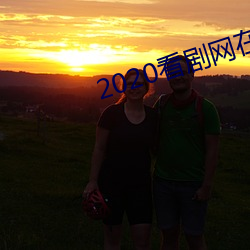 2020看剧网在线观看