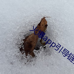 火爆app引导链接