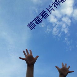 草莓看片神器