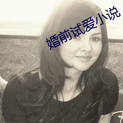 婚前試愛小說