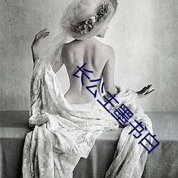 长公主墨书白 （机要）
