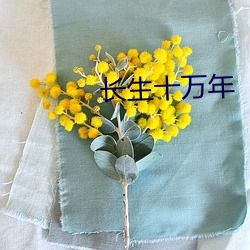 长生十万年(年)