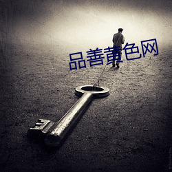 品善黄色网 （会议）