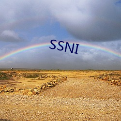 SSNI