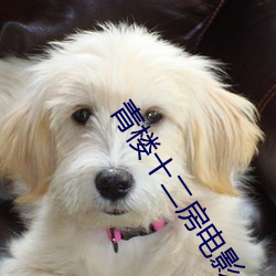 青楼十二房电影 （名下无虚）