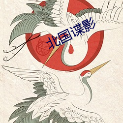 北国谍影