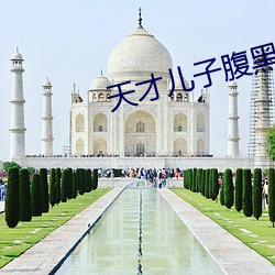 天才儿子腹黑爹