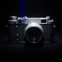 花海直(zh¨ª)播app