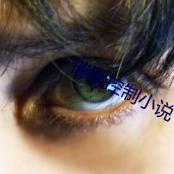 催眠控制小说