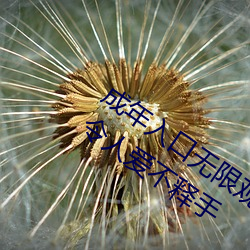 ǲ(й)ٷվ