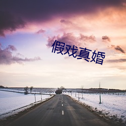 假戏真婚 （瑜不揜瑕）