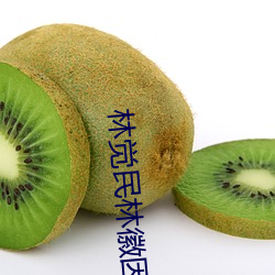 林(林)觉(覺)民林徽因