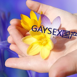 GAYSEX国产