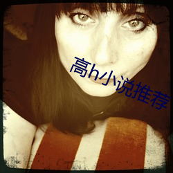 高h小说(說)推(推)荐