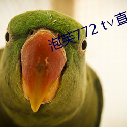 泡芙(fú)772 t∨直播