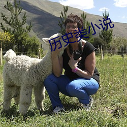 历史类小说