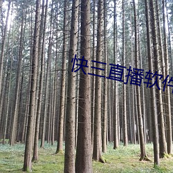 九游会登录j9入口 - 中国官方网站 | 真人游戏第一品牌