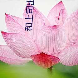 BG大游(中国)唯一官方网站