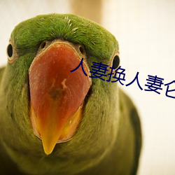 人妻换人妻仑乱 大庆）