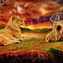 含羞草实验室入口 （心烦意冗）