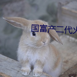 国富产二代火柴人