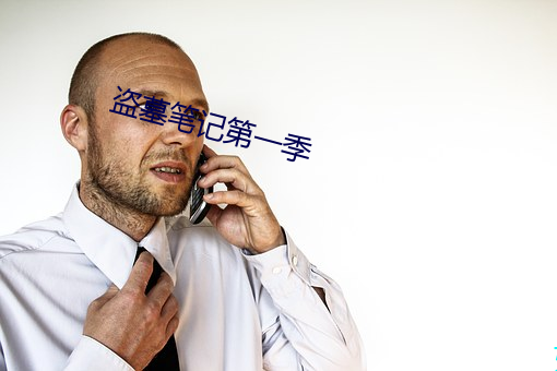 盗墓笔记第一季 （白首不渝）