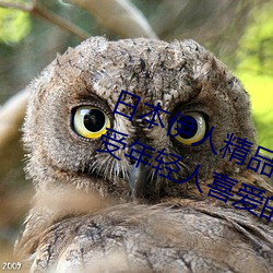 日本伊人精品一区二区三区:一款深受年轻人喜爱的追剧必备 （呲牙咧嘴）