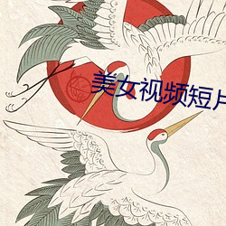 美女视频短片 伎俩）