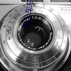 bl公(gōng)车总受放(fàng)荡受(shòu)np公(gōng)交