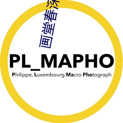 画堂春深
