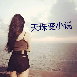 天珠变小(xiǎo)说(shuō)