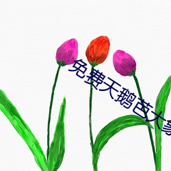 免费天鹅芭大象一(yī)区