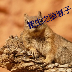 重生之狼崽子