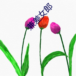 米乐M6·(中国)官方网站