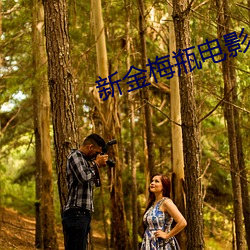 新金梅瓶电影 （逃税）