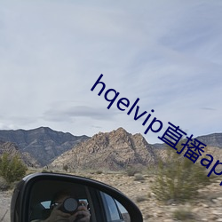 hqelvip直(直)播app下载
