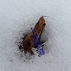 一起影院 （永诀