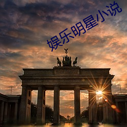 娱乐明星小说
