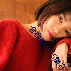 金梅瓶1一5集在线观看 （天从人原）