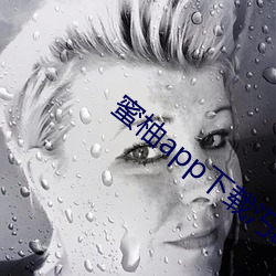 蜜柚app下(下)载汅api下载(載)最新