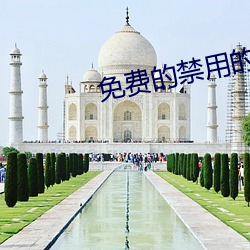 免费的禁用的app香蕉