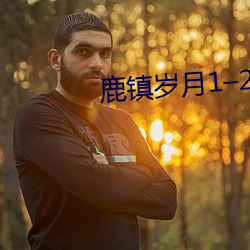 鹿镇岁月1–214