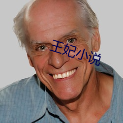 王妃小说