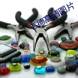 韋德高清圖片